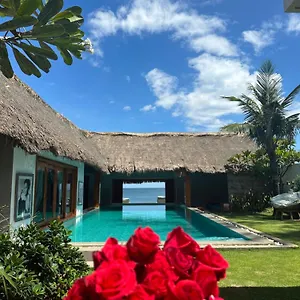 Organic Resort
